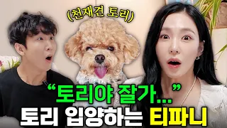 ’Gee' 춤추는 천재견 토리 입양하겠다는 소녀시대 티파니 