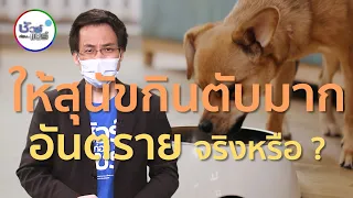 ชัวร์ก่อนแชร์ : ให้สุนัขกินตับมากอันตราย จริงหรือ ?