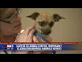 Clayton County Animal Control must find homes for more than 130 animals