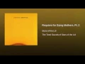 Requiem for Dying Mothers, Pt. 2 - Stars of the Lid