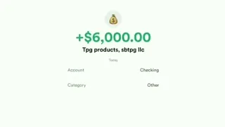 What is TPG PRODUCTS SBTPG LLC - Turbo Tax