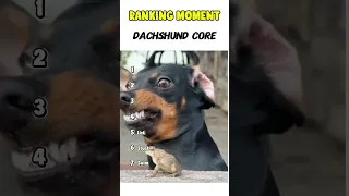                                                                                      دندنها