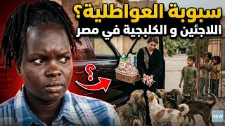                                                                         دندنها
