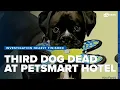 Investigation nearly finished after 3 dogs die at Alexandria PetSmart hotel