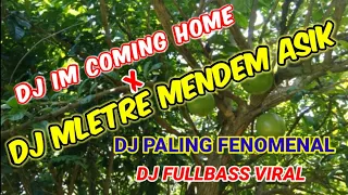 Download DJ MLETRE MENDEM || DJ IM COMING HOME VIRAL TIK TOK FULL BASS MP3