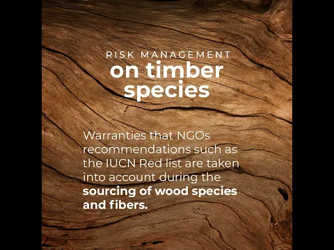 Watch International Forest Day on YouTube.