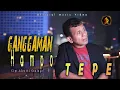 Download Lagu TEPE - Ganggaman Ampo (Official Music Video)