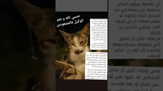 القطط ضحايا السحر و الشعودة 
