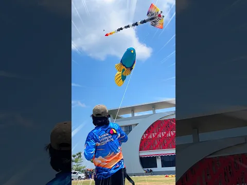 LAYANGAN UNIK 3DIMENSI FESTIVAL SRAGEN #kreatif #layangan #kite #festival #kopdarlayangan