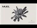 Download Lagu MUEL #18: Nuits d’Afrique Mix | Afro House Rhythms for Starlit Nights