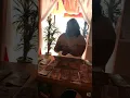 Testimony from loyal customer at Angel Spa Angel Spa talk show