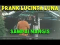 Download Lagu ATTA PRANK LUCINTA LUNA SAMPAI NANGIS !!