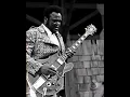 freddie king - stumble