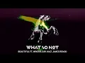 Download Lagu What So Not - Beautiful (feat. Winona Oak) (Kaz James Remix)