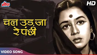 chal ud jare panchhi hd mohammed rafi sad song bhabhi 1957 nanda jagdeep old hindi songs