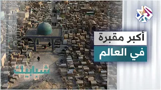                                                                                            دندنها