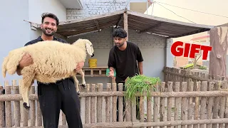 Sabtain Ko Sheep Gift Kr Diya😍 ||First Gift||