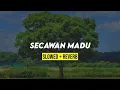 Download Lagu SECAWAN MADU (slowed+reverb)