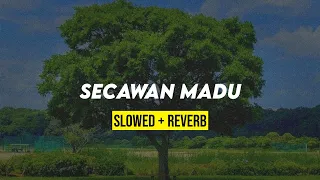 secawan madu slowed reverb 