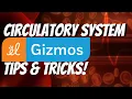 Tips for Using the Circulatory System Gizmo from ExploreLearning