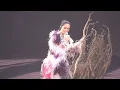 《野孩子》楊千嬅 丨Live My LIVE演唱會2025丨20251204 尾場 4K fancam