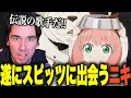 Download Lagu 【海外の反応】スピッツを知らないニコラスニキが初めて聞いた結果ｗｗｗ【スパイファミリー3期OP】【スピッツ - 灯を護る】【翻訳】【ニコラス兄貴】