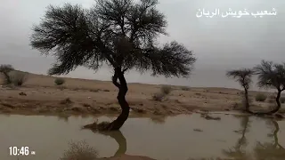 جولة     امطار الخير شعيب الخويش وغيلانه والثمامة والبويب  وروضة القرعاء وقلتة المستظلة دندنها