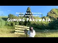 Download Lagu SOLO HIKING BUAT JALUR SENDIRI, MENCARI BATU RAKSASA PAKU-NYA PULAU JAWA || GUNUNG PAKUWAJA PART 2