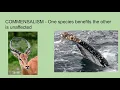 Ecosystems 1 1 AP Environmental Science Miceli
