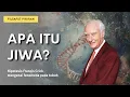 Lagu Apa itu jiwa?