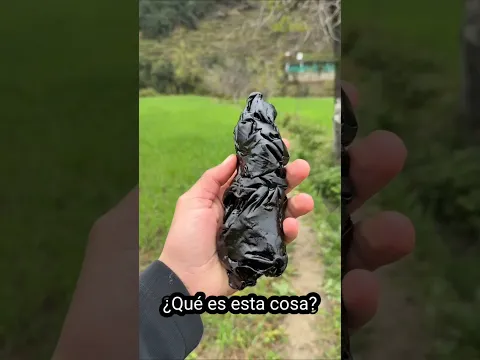¿Qué es esta cosa? #salud