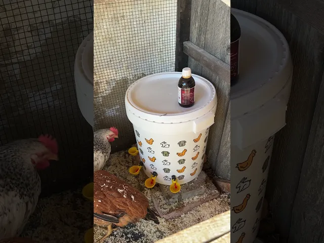 Cubo de 32 litros con bebederos automáticos – Ideal para pájaros