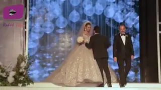 يا أميره كل النجمات    وائل كافوري    دندنها
