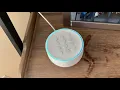Rebooting a Nest Guard