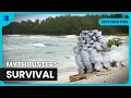 Download Lagu Is Duct Tape the Ultimate Survival Tool? and More! | Mythbusters