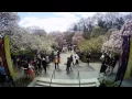 Time Lapse Sakura Japanese Festival Brooklyn New York