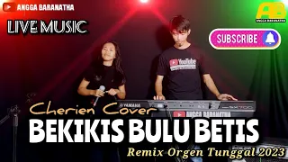 Download BEKIKIS BULU BETIS (Andrewson Ngalai) || Cover by Cherien || Remik Orgen Tunggal 2023 🔴 LIVE MUSIC MP3