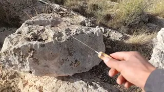 تم نهب 7 رانات من تحت مجسم الضفدع 