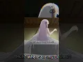Download Lagu Wild Cliffhanger at the end. #anime #rezero #emilia #regulus #season3