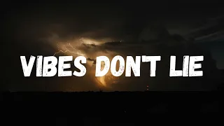 Vibes Don T Lie Lyrics Video 