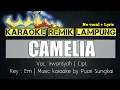 Download Lagu KARAOKE REMIK LAMPUNG - CAMELIA (IRWANSYAH) - SET ORG REMIK LAMPUNG TERBARU 2021 - NO VOCAL + LYRIC