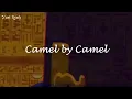 Camel by Camel - Sandy Marton Zone Ankha