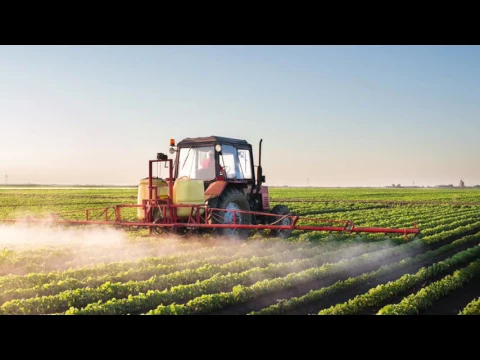 Buying organic can reduce the pesticides you eat. Our nutritionist explains why.