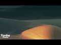 Chris Brown - Under The Influence (Clean - Lyrics) | Your body language speaks to me