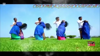 New Shaggooyyee Oromoo Music 2025 Faaxee Anniyyaa 