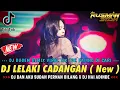 Download Lagu DJ DAN AKU SUDAH PERNAH BILANG !! LELAKI CADANGAN X ABG TUA || DJ VIRAL FYP TIK TOK FULL BASS ||