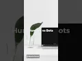 Ticketmaster Bot Professionals Presell Tickets Queue Bypass Auto Checkout