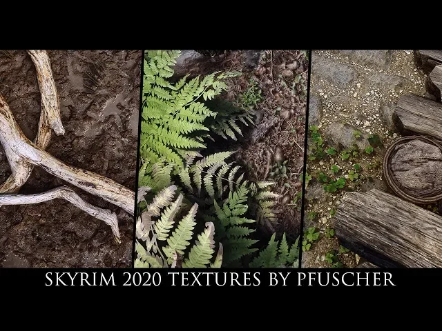 Skyrim SE Mods - Skyrim 2020 Textures by Pfuscher