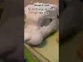 making a dog dino mask