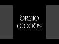 Lagu Druid Woods